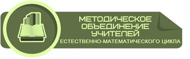 Методическое объединение учителей естественно-математического цикла.